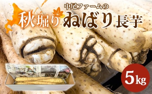 ykCHyzyHxzt@[̂˂΂  5kg |  Y kCY   ˂΂蒷 H@ R Ƃ 肨낵 S Â fg aH  H N  