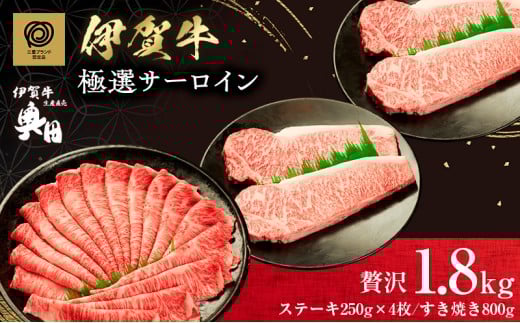 yOdsz̉j@ɉꋍ@ґ1.8kgZbg@ɑIT[CXe[L&Ă@Ⓚ@Y@Ɩq@Ods