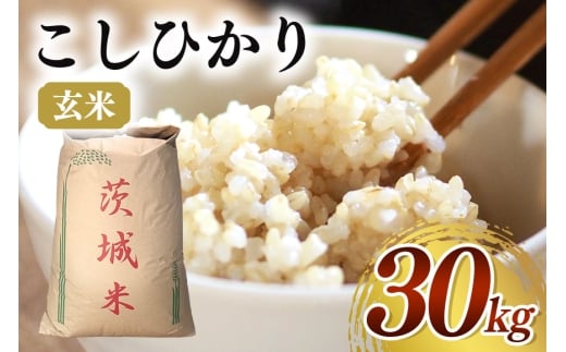 y錧ΉszyߘaVNYzVăRVqJ 30kg     ͂ Y Yn 錧 Ήs B08-002