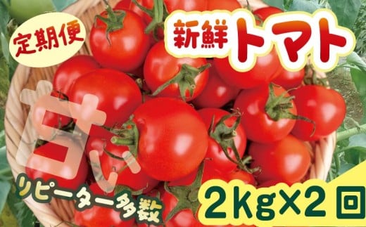 ymczcY VNg}g 2kg  2 ̂ꂽ VN g}g 2kg 2 2  _ƒ Â Z  n Y 퉷  y m c TR-23