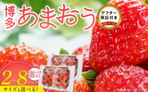 yvĎszY܂ y3`4z _  ܂ Iׂ e  嗱 2 ` 8pbN F_ ʕ t[c ݂݂ W[V[ Ö _ Z X