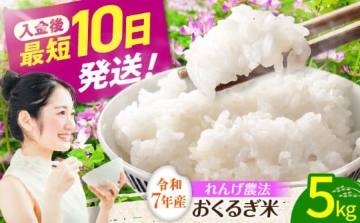 y򕌌䐓zNߘa7NxY񂰔̂邬 5kg/ۑS   /䐓/ЃAIL [AVBN005]