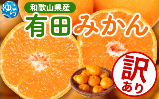 ya̎RRǒzys\zƒp Lc݂ TCY(2S`2L) 1kg+250g  11蔭(n)  󂠂 킯 ZT[I  ʕ ݂ Lc݂ ~J k yikd210z