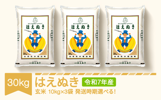 yR`RszV  30kg 10kg×3 ͂ʂ  ߘa7NY 2026N6{ mk-haxxa30-g6b