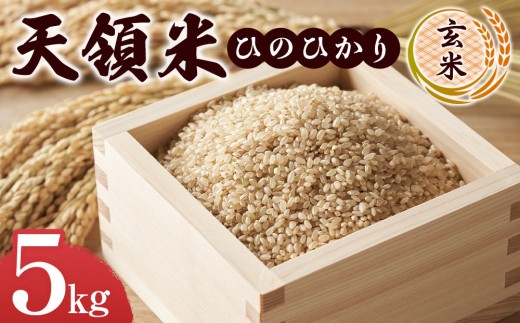 y啪RzszV̕āiЂ̂ЂFāj 5kg