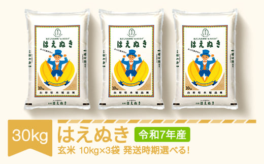 yR`RszV  30kg 10kg×3 ͂ʂ  ߘa7NY 2026N4{ mk-haxxa30-g4b