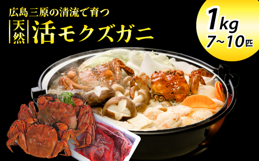 yLOszystzLY VRNYKjiIXEX/1kgj 2025N1216\ VR TCY Y  I I Kj CI  g X`  䥂 {C