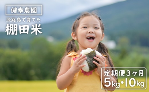 yɌWHszyցzK_̒Ic 5kgE10kg×3Zbg