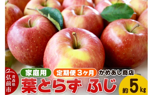 yXOOszy25N12zs3t tƂ炸 ӂsƒpt5kg S[h_