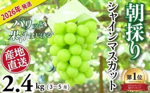 yR匎szy2026Nz VC}XJbg 2.4kg  3~ 5[  lC  R Yn t[c uhE ʕ  Ԃǂ VC }XJbg  ͂ Y    VN