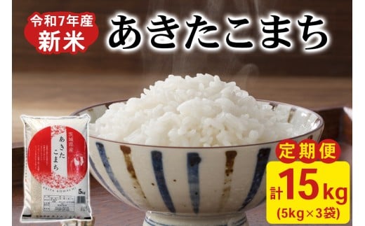 y錧~szVāyց^3 ߘa7NYz܂  v15kg (5kg×1×3) 錧~sYb    Yn  ~ [1822]