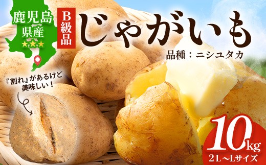 先行予約】【B級品】(割れ) 鹿児島 最南端 じゃがいも 馬鈴薯