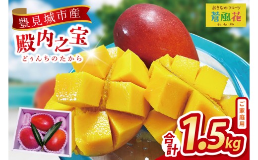 2026年7月より順次発送】豊見城産マンゴー『殿内之宝(どぅんちのたから