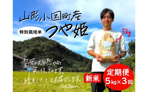 yR`zy3ցzyߘa7NxYVāzR`Y@PE5kg