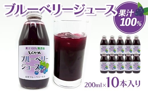 y͎szYu[x[W[X ʏ`100 10{ ʎ W[X  ʕ   F24R-223