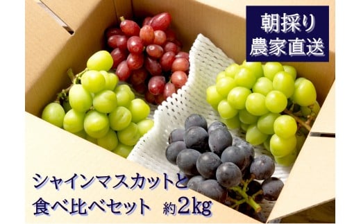 yLLszy2026Ns\zVC}XJbgƐHה׃Zbgi2kgj@9{@L@_ƒEVN̂@yzsFzy͂wsz