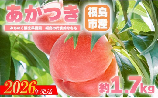 yszNo.2343uvp@1.7kgy2026N@s\z