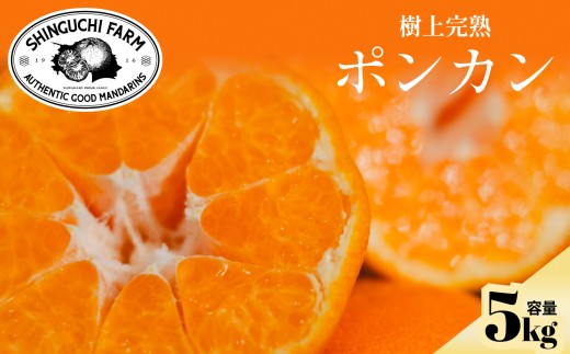 yQlszÖƎ_̃oX▭|J 5kg QYD70-24y1470666z