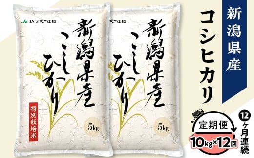 yVsz75-7N10ZAy12A͂zVYRVqJ10kgiʍ͔|āj