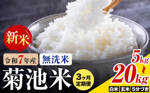 �y�F�{���e�r�s�z�y3��������ցz�F�{���Y �e�r�� ������ ���� ����  5���Â� 5kg/10kg/20kg �I�ׂ���e�� 1��5kg �� ���� �ߘa7�N�Y ��B�Y �F�{���Y ���������s���\���ݗ����ɏo�ח\��t���� ��