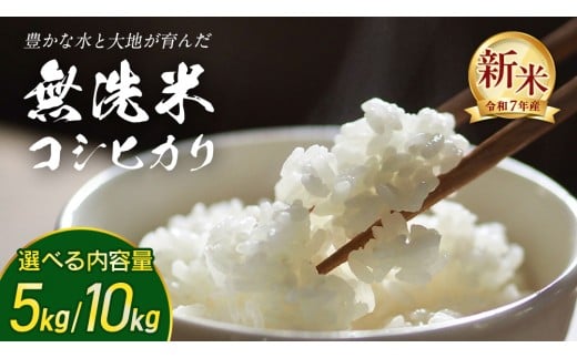 y錧΂݂炢sz_ Iׂe ^y  zߘa7NY V RVqJ 5kg/10kg 錧΂݂炢sY Z y S Â  Ђ ߘa7N