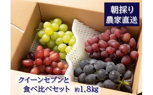 yLLszy2026Ns\zNC[ZuƐHה׃Zbgi2kgj@8{@L@_ƒEVN̂@yzsFzy͂wsz