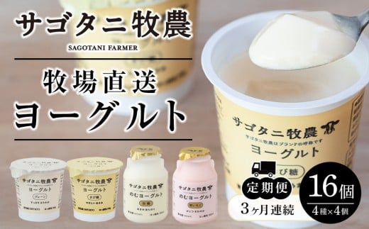 yLLszRA͂ ց q꒼ TS^jq_ [Og16i4×4jZbg