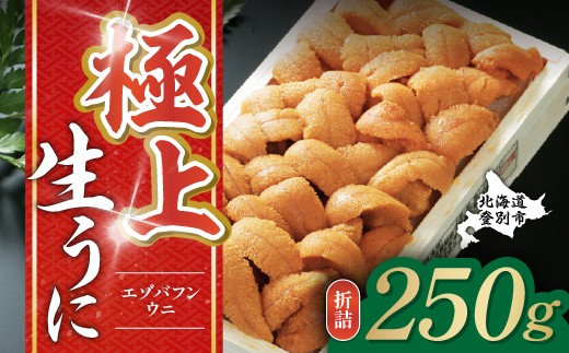 うに 楽天市場】【ふるさと納税】 [ 2026年 先行予約 ] 生ウニ 300g ☆2026