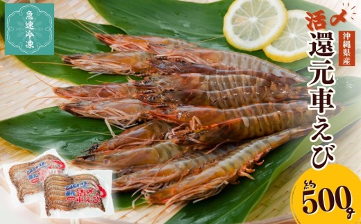 えび 活〆還元車えび（急速冷凍・500g） えび エビ 車海老 車エビ 海産物