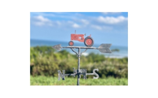 y錧ztamaCterrasseGfڑ!LȑmՂ!Lvh⏕(1~)y1617256z