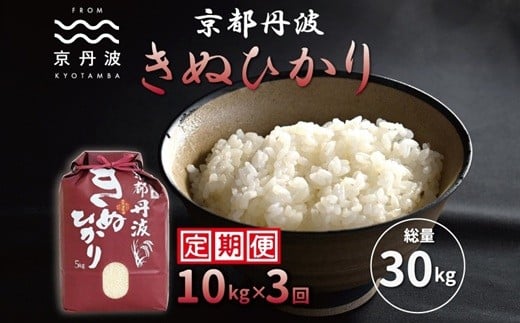 ys{Ogzy3Jցz OgʂЂ 10kg×3JA v30kg ߘa7NY s   LkqJ kCEkEȆ͔zs [054MB002R]