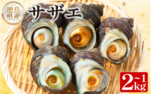 yzTUG Iׂ e 1kg 2kg  L L h N CN  hg Ă `  Ă    Mtg  蕨 j Ε  N Nn o[xL[ BB