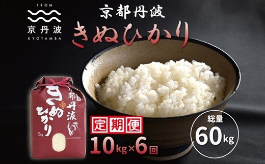 ys{Ogzy6Jցz OgʂЂ 10kg×6JA v60kg ߘa7NY s   LkqJ kCEkEȆ͔zs [108MB002R]