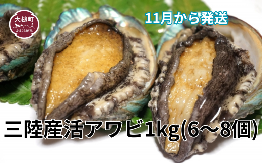 y茧ƒzOYIAr 1kg ( 6`8)yԌzy08zb11`12 ① 茧 ƒ  lC   iwate 2025yzEjwsz