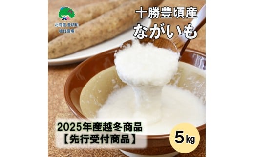 ykCLz\LY Ȃ5kg y2026NtoׁzmA_n