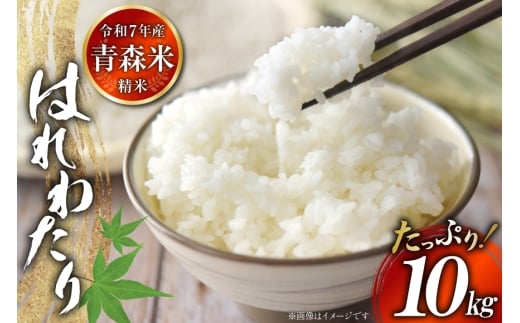 yX点z ߘa7NY ͂킽 10kg [傿_ X 点 oi02ayo840001]   V ͂ ɂ R