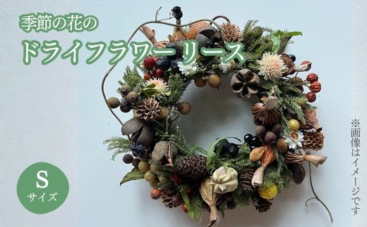 yÉRzG߂̉Ԃ̃hCt[ [X STCY