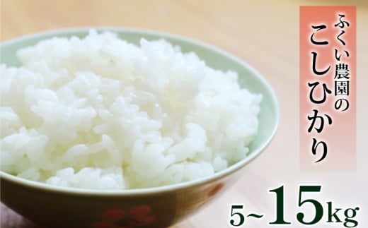 ymhюszy ߘa7NYV  z RVqJ Xs[hz 5kg 10kg 15kg  V   Iׂ ׂ ӂ邳 Ђ   uh ӂ邳Ɣ[ ቷ  L@