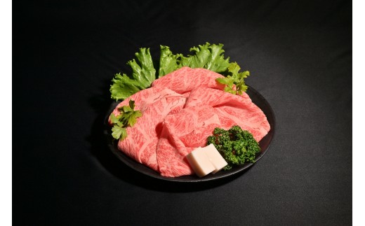 yɌsz_ˋĂi[X450gj [  _ˋ ō _˃r[t _˓ An [X XCX Ă Ԃ  s Ɍ]