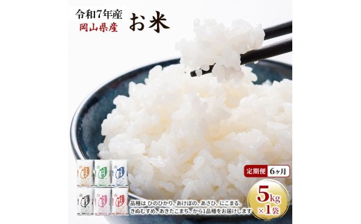 yRʖsz 6 ߘa7NY  5kg×1 ܂ Ђ̂Ђ  ɂ܂ ڂ ʂނ A   CX Pꌴ  R uh