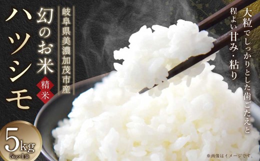 y򕌌ZΎszߘa7NY 򕌌ZΎsInō ncV 5kg R     сy2025N11{`3{\z