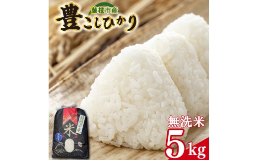 新米　お米　豊コシヒカリ　No.5 新米 お米 豊コシヒカリ No.5