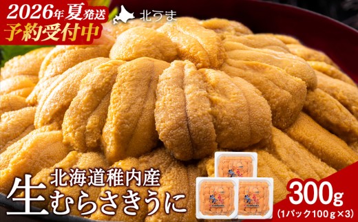 先行予約】【うにの名産地稚内市】最北端の生むらさきうに(100gパック