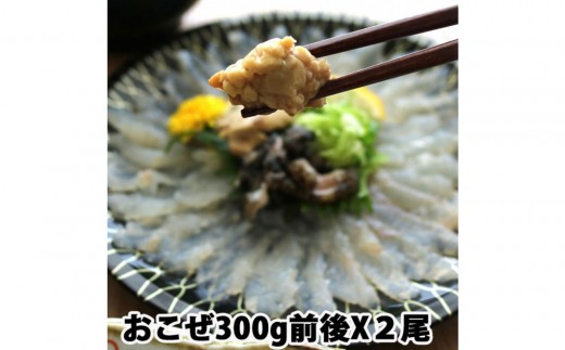 yLLszy@Izys\z߃IR[2Zbgi2lOj||t Ջ   g