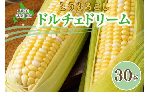 ykC莺zystzy2026N7{`8{zzkC\ 莺Y l Ƃ낱 h`Fh[30{@me035-032c-26