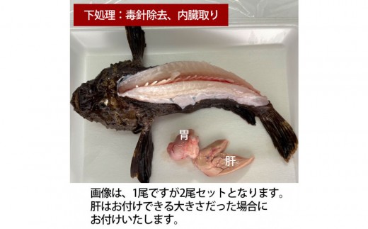 yLLszyAw̓Őjzys\z߃IR[2Zbgi2lOj||t Ջ   g