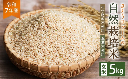 y啪dzyߘa7NYzƂt@[̎R͔|āi5kgjӂ    蕨 Pꌴ