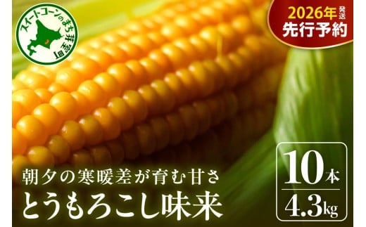 ykC莺zystzy2026N7{`8{zzkC\ 莺Y l Ƃ낱 10{@me035-004c-26