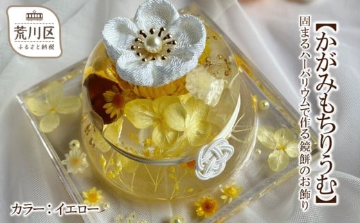 ysrzy݂肤ށzł܂n[oEō鋾݂̂(J[FCG[)y071-005-2z