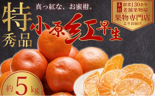 y쌧ωszy2025N11{菇zɐI^ԂȂ݂̏g@5kg ʕ t[c k fU[g  H Y {Y Yn IWii Hו